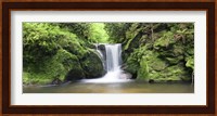 Water in a forest, Geroldsau Waterfall, Black Forest, Baden-Wurttemberg, Germany Fine Art Print