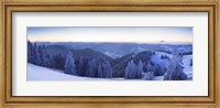 Snow covered trees on a hill, Feldberg Mountain, Black Forest, Baden-Wurttemberg, Germany Fine Art Print