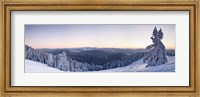 Snow covered trees on a hill, Belchen Mountain, Black Forest, Baden-Wurttemberg, Germany Fine Art Print