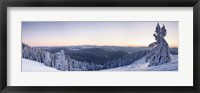 Snow covered trees on a hill, Belchen Mountain, Black Forest, Baden-Wurttemberg, Germany Fine Art Print
