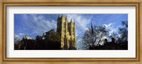 Low angle view of an abbey, Westminster Abbey, City of Westminster, London, England Fine Art Print