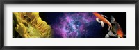 Sunflower and Koi Carp in space Fine Art Print