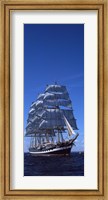 Tall ships race in the ocean, Baie De Douarnenez, Finistere, Brittany, France Fine Art Print