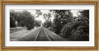 Railroad track, Napa Valley, California, USA Fine Art Print