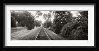 Railroad track, Napa Valley, California, USA Fine Art Print