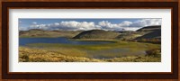 Pond with sedges, Torres del Paine National Park, Chile Fine Art Print
