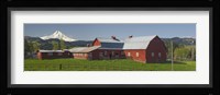 Barns in field with mountains in the background, Mt Hood, The Dalles, Oregon, USA Fine Art Print
