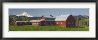 Barns in field with mountains in the background, Mt Hood, The Dalles, Oregon, USA Fine Art Print