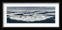 Ice floes on the Arctic Ocean, Spitsbergen, Svalbard Islands, Norway Fine Art Print