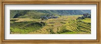 Rice terraced fields and houses in the mountains, Punakha, Bhutan Fine Art Print