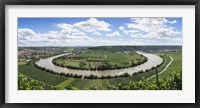 High angle view of vineyards, Neckar River, Mundelsheim, Baden-Wurttemberg, Germany Fine Art Print
