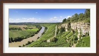 High angle view of vineyards, Neckar River, Hessigheim, Baden-Wurttemberg, Germany Fine Art Print