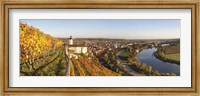 Vineyards around a castle, Horneck Castle, Gundelsheim, Baden-Wurttemberg, Germany Fine Art Print