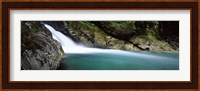 Water falling into a river, Falls Creek, Hollyford River, Fiordland National Park, South Island, New Zealand Fine Art Print