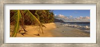 Palm trees on the edge of a small beach, Seychelles Fine Art Print