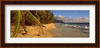 Palm trees on the edge of a small beach, Seychelles Fine Art Print