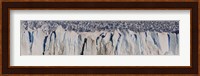 Moreno Glacier, Argentine Glaciers National Park, Patagonia, Argentina Fine Art Print