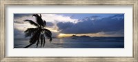 Silhouette of coconut palm tree at sunset, from Anse Severe Beach, La Digue Island, Seychelles Fine Art Print