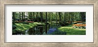 Flower beds and trees in Keukenhof Gardens, Lisse, Netherlands Fine Art Print