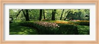 Tulip flowers and trees in Keukenhof Gardens, Lisse, South Holland, Netherlands Fine Art Print