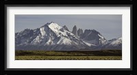 Field with snowcapped mountains, Paine Massif, Torres del Paine National Park, Magallanes Region, Patagonia, Chile Fine Art Print
