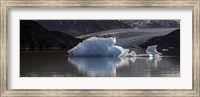 Iceberg in a lake, Gray Glacier, Torres del Paine National Park, Magallanes Region, Patagonia, Chile, Lake Fine Art Print