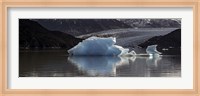 Iceberg in a lake, Gray Glacier, Torres del Paine National Park, Magallanes Region, Patagonia, Chile, Lake Fine Art Print