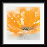 Wild Orange Sherbet I Fine Art Print
