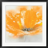 Wild Orange Sherbet I Framed Print