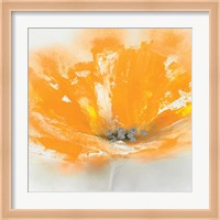 Wild Orange Sherbet I Fine Art Print