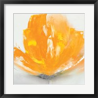 Wild Orange Sherbet II Fine Art Print