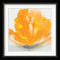 Wild Orange Sherbet II Fine Art Print