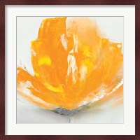 Wild Orange Sherbet II Fine Art Print