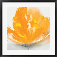 Wild Orange Sherbet II Framed Print