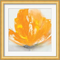 Wild Orange Sherbet II Fine Art Print