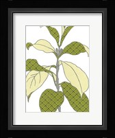 Modern Foliage I Framed Print