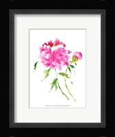 Peonies in Pink I Fine Art Print
