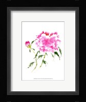 Peonies in Pink II Fine Art Print
