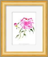 Peonies in Pink II Fine Art Print