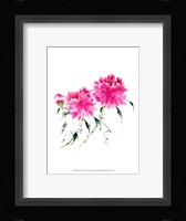 Peonies in Pink III Fine Art Print