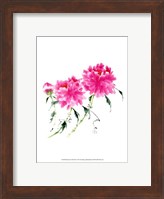 Peonies in Pink III Fine Art Print