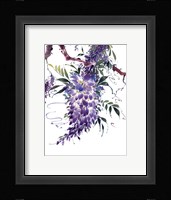 Wisteria Garden II Framed Print