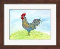 Meadow Rooster Fine Art Print