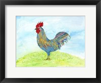Meadow Rooster Fine Art Print