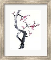 Plum Blossom Branch I Fine Art Print