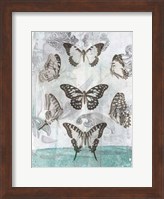 Butterflies & Filigree I Fine Art Print