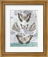 Butterflies & Filigree II Fine Art Print