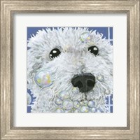 Bubbles - Stella Fine Art Print