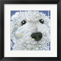 Bubbles - Stella Fine Art Print