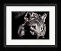 Wild Eyes Fine Art Print